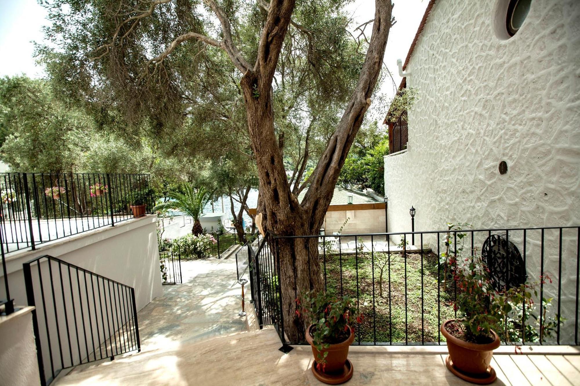 Zena Hotel Bodrum Guvercinlik  Zewnętrze zdjęcie