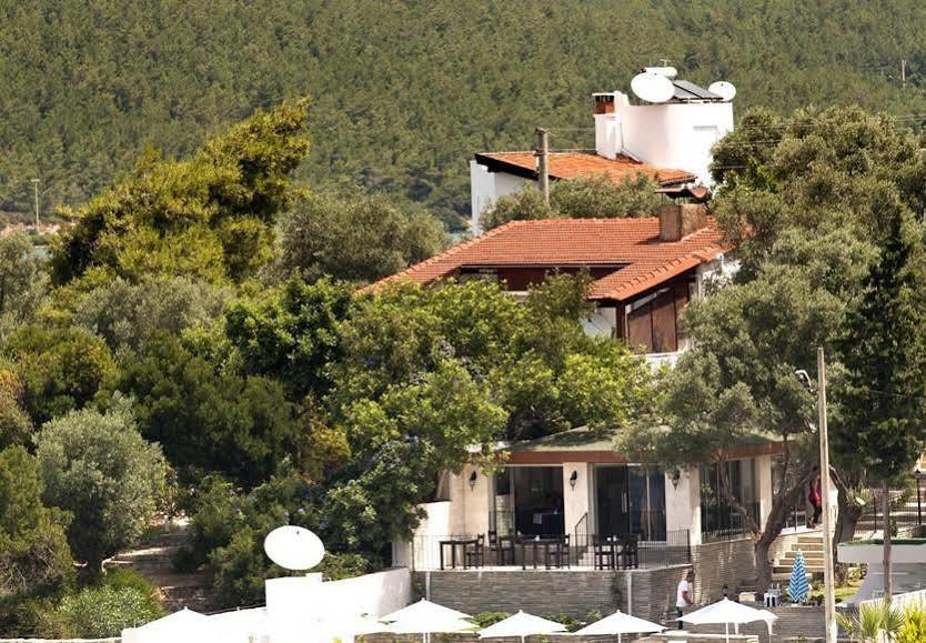 Zena Hotel Bodrum Guvercinlik  Zewnętrze zdjęcie